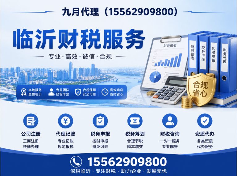 蒙阴县临沂代理记账展示图